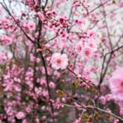指導者になって、はじめてのこと。