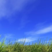 夏休みのうれしかったこと。